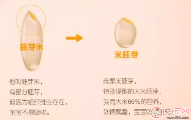 章子怡家醒醒在吃的米小芽大米米粉怎么樣 米小芽大米米粉寶寶吃好不好 章子怡家醒醒在吃的米小芽大米米粉怎么樣 米小芽大米米粉寶寶吃好不好