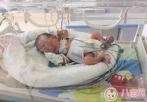 懷孕八個(gè)月想嘿嘿嘿怎么辦 會(huì)對(duì)胎兒有影響嗎 懷孕八個(gè)月想嘿嘿嘿怎么辦 會(huì)對(duì)胎兒有影響嗎