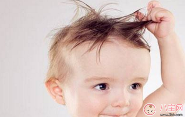 孕期吃什么肚子里的寶寶會更漂亮 孕婦吃什么食物養生 孕期吃什么肚子里的寶寶會更漂亮 孕婦吃什么食物養生