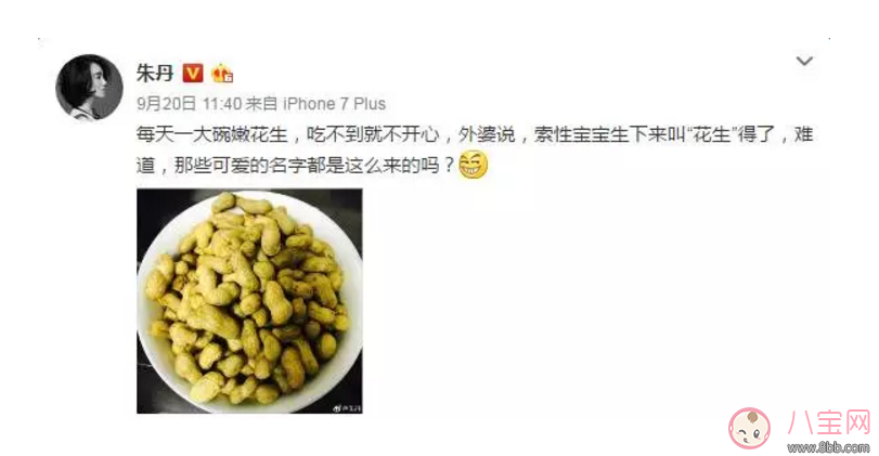 朱丹女兒大名名字叫什么 朱丹女兒小名為什么叫小花生