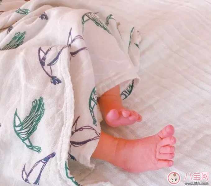 朱丹女兒大名名字叫什么 朱丹女兒小名為什么叫小花生