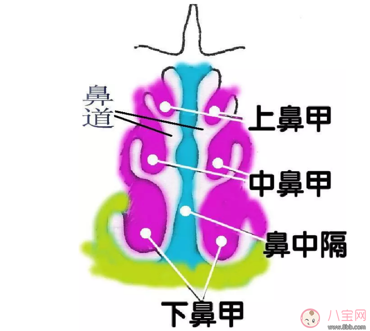 為什么秋季嬰兒容易鼻塞 市面上的通鼻產品靠譜嗎