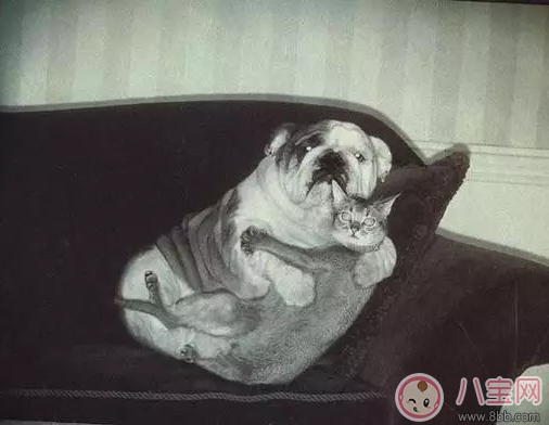 產(chǎn)后性冷淡正常嗎 怎么改善產(chǎn)后的性冷淡問題