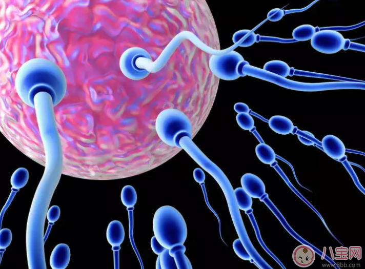 一滴精十滴血真的會精盡人亡嗎 精液能治婦科病嗎 一滴精十滴血真的會精盡人亡嗎 精液能治婦科病嗎