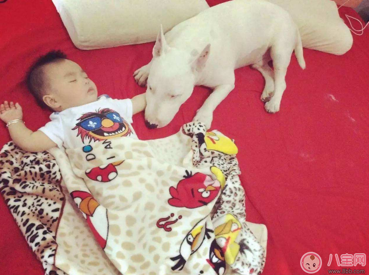 哪些遺傳病傳男不傳女 哪些病會遺傳到下一代 哪些遺傳病傳男不傳女 哪些病會遺傳到下一代