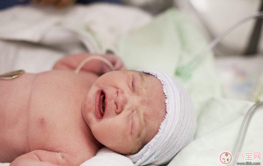 寶寶哭得很兇是生病了嗎 怎么區(qū)分孩子正常哭鬧和生病哭鬧 寶寶哭得很兇是生病了嗎 怎么區(qū)分孩子正常哭鬧和生病哭鬧
