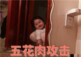 小剛幾五花肉攻擊是什么梗 小剛幾五花肉攻擊表情包