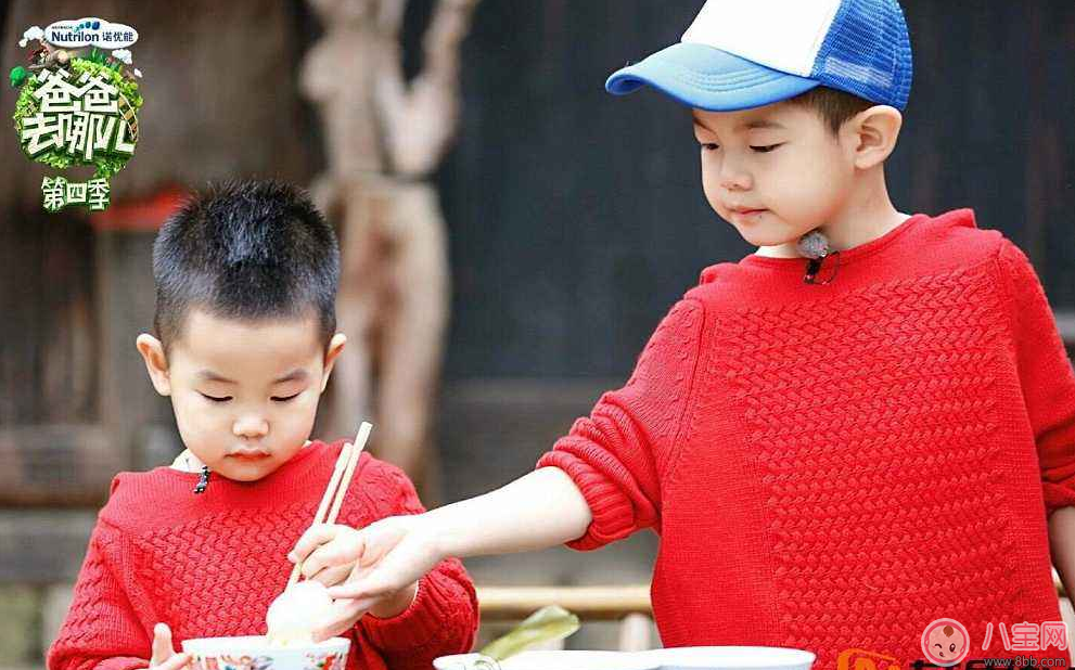 大寶和二寶不和怎么辦 二胎家庭怎么處理大寶和二寶的關(guān)系