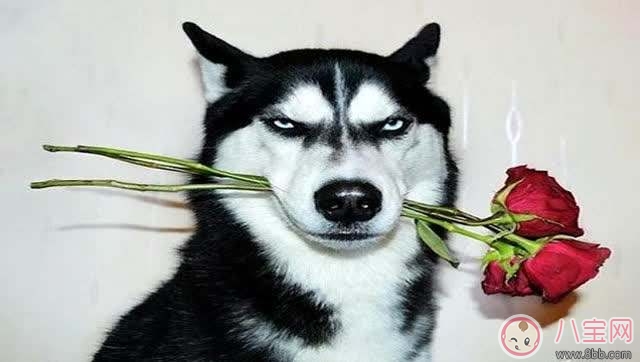 備孕前心情不好 怎么預防產(chǎn)前憂郁癥