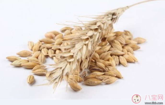 產后減肥食物有哪些 4種減肥食物推薦 產后減肥食物有哪些 4種減肥食物推薦