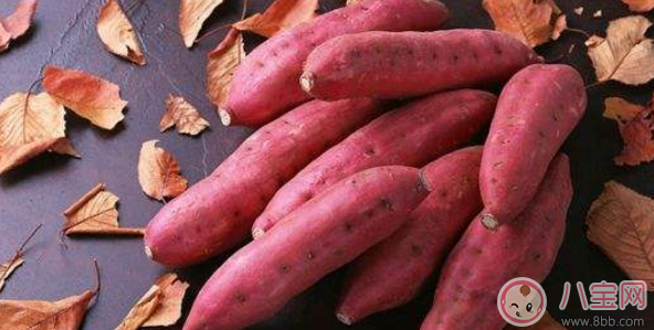 秋天孕婦吃什么食物養生滋補 孕婦秋天養生吃哪些食物好 秋天孕婦吃什么食物養生滋補 孕婦秋天養生吃哪些食物好