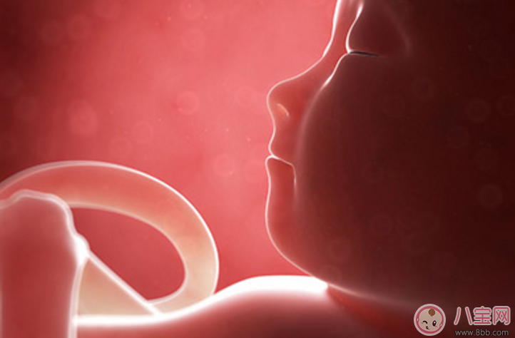 寶寶在媽媽肚子里就會哭了嗎 胎兒在肚子里哭是怎么回事