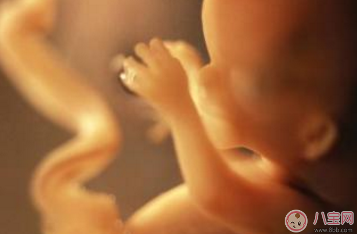 寶寶在媽媽肚子里就會哭了嗎 胎兒在肚子里哭是怎么回事