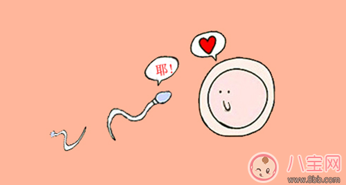 備孕不是一個人的事 先給精子把個脈