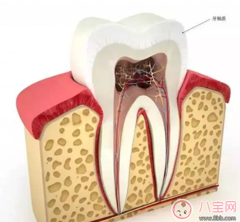 孩子乳牙壞掉要補嗎 孩子會長新牙所以不用管乳牙對嗎