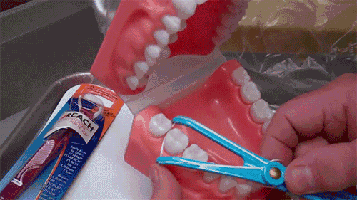 孩子可以用牙線嗎 孩子用牙線會不會導(dǎo)致牙縫變大