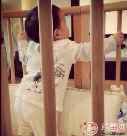 Jasper嬰兒時期照片有哪些 Jasper聰明懂事是遺傳嗎