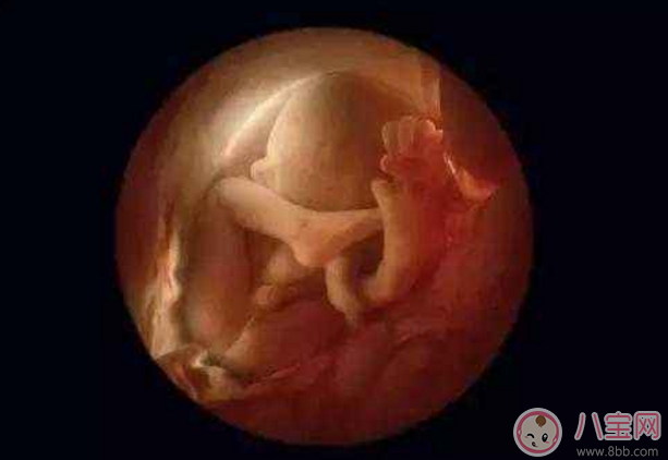 胎寶寶一天要睡多久 寶寶睡眠時(shí)間表