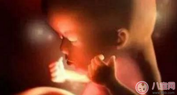 胎寶寶打嗝是正常現象嗎 胎寶寶打嗝是什么感覺