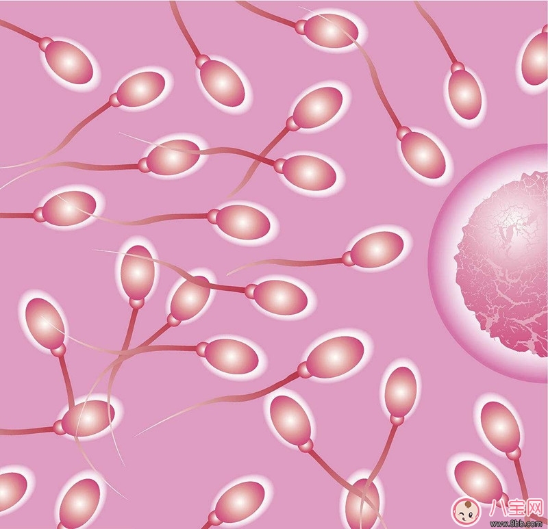 精子檢查報告單怎么看 精子成活率為1%老婆能懷孕嗎