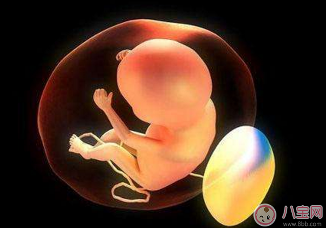 胎寶寶打嗝說(shuō)明不缺氧是真的嗎 胎兒打嗝就能判斷證明宮內(nèi)沒(méi)缺氧