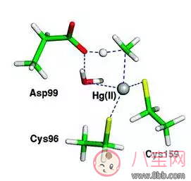 孕婦魚吃多了會不會汞中毒 怎么買到含汞量低的魚 孕婦魚吃多了會不會汞中毒 怎么買到含汞量低的魚