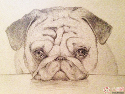 孩子上初中情緒大怎么辦 為什么孩子上初中后會有那么多情緒