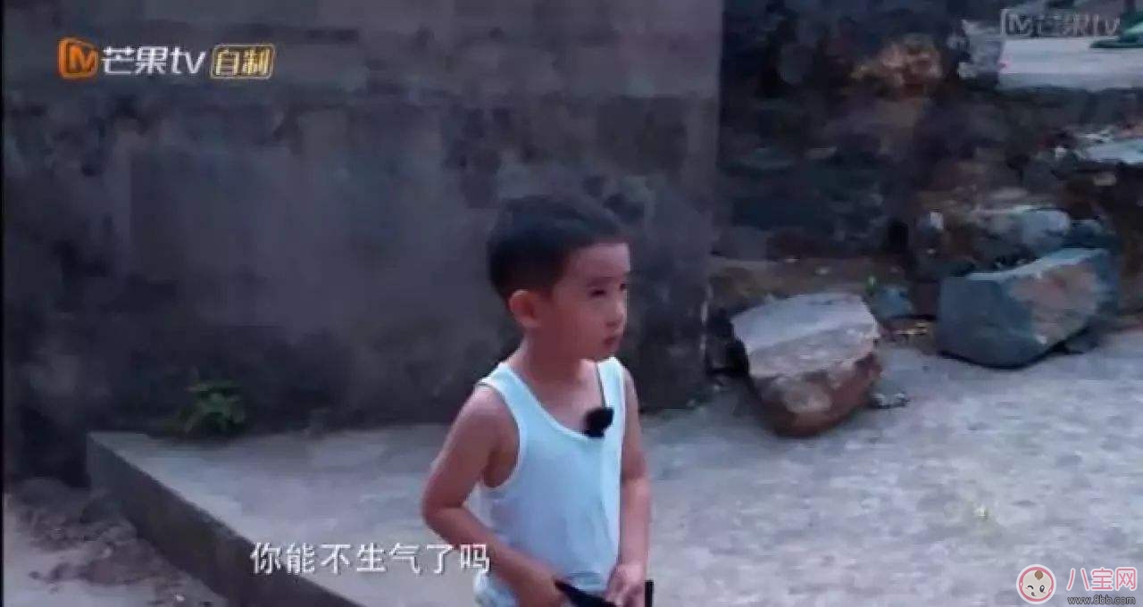 jasper忍者神龜是什么 為什么說(shuō)jasper是忍者神龜