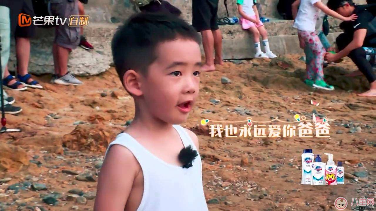 jasper忍者神龜是什么 為什么說(shuō)jasper是忍者神龜