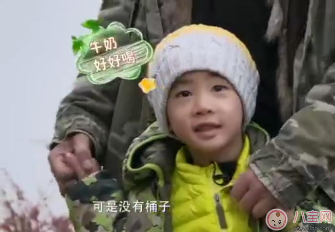 jasper忍者神龜是什么 為什么說(shuō)jasper是忍者神龜