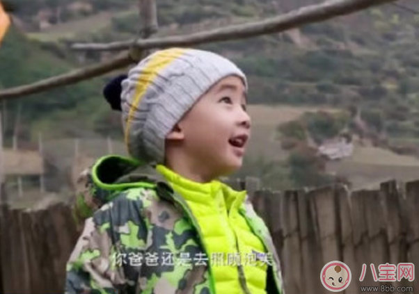 jasper忍者神龜是什么 為什么說(shuō)jasper是忍者神龜