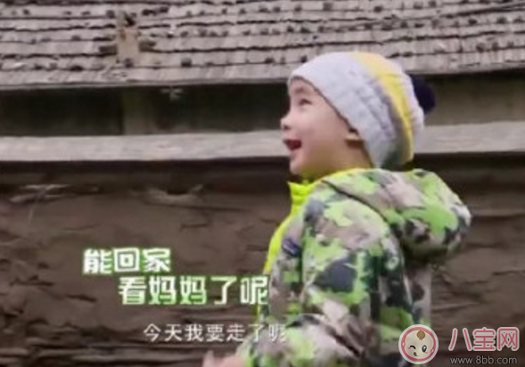 jasper忍者神龜是什么 為什么說(shuō)jasper是忍者神龜