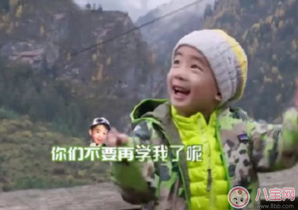 jasper忍者神龜是什么 為什么說(shuō)jasper是忍者神龜