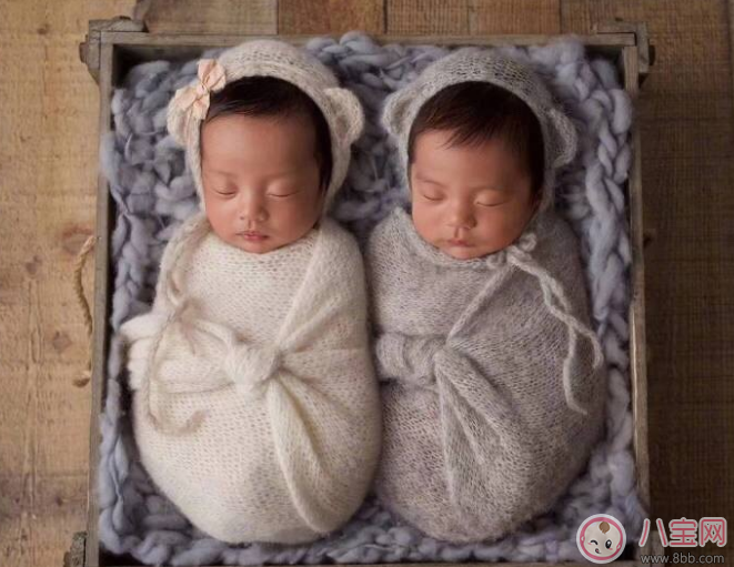 張雨綺怎么懷上龍鳳胎的 懷龍鳳胎的幾率大嗎 張雨綺怎么懷上龍鳳胎的 懷龍鳳胎的幾率大嗎