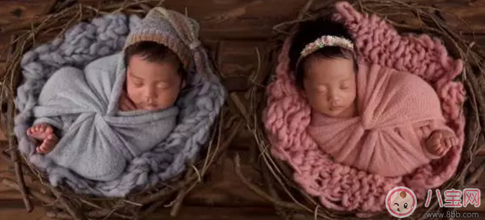 張雨綺怎么懷上龍鳳胎的 懷龍鳳胎的幾率大嗎 張雨綺怎么懷上龍鳳胎的 懷龍鳳胎的幾率大嗎