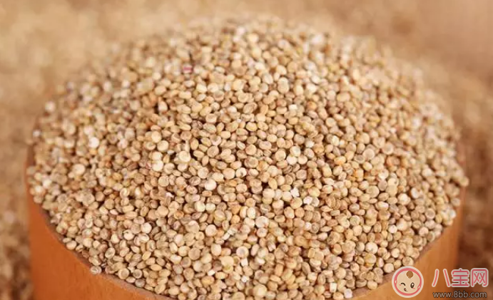 寶寶輔食藜麥哪種好 古樂谷藜麥寶寶吃怎么樣