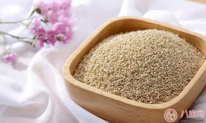 寶寶輔食藜麥哪種好 古樂谷藜麥寶寶吃怎么樣