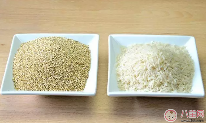寶寶輔食藜麥哪種好 古樂谷藜麥寶寶吃怎么樣