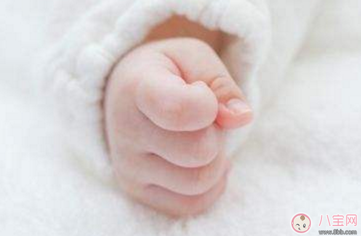 新生兒的手喜歡握成一個小拳頭怎么辦 新生兒的手握拳家長要打開嗎 新生兒的手喜歡握成一個小拳頭怎么辦 新生兒的手握拳家長要打開嗎