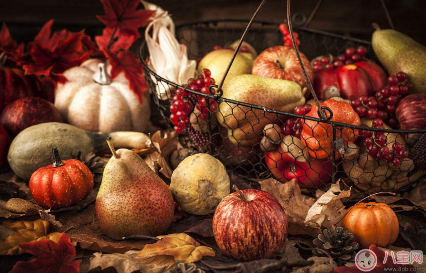 孩子問(wèn)感恩是什么怎么回答 怎么借感恩節(jié)來(lái)教育孩子