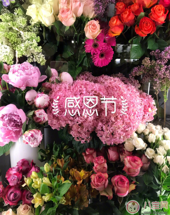 2017感恩節(jié)表達感恩的句子 感恩節(jié)發(fā)朋友圈感恩語句