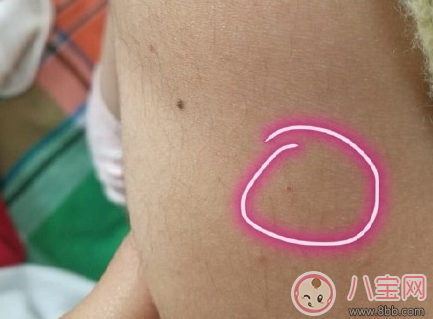 紅黃藍幼兒園虐童事件是不是真的 紅黃藍幼兒園虐童事件背后隱情