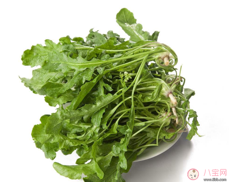 懷孕可以吃薺菜嗎 懷孕吃薺菜有什么影響