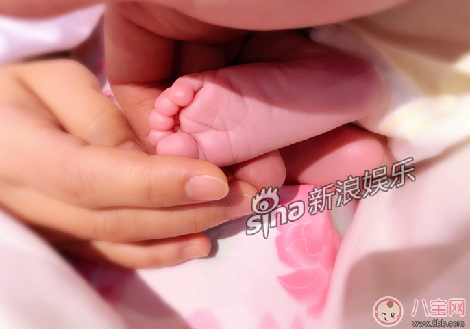 黃英二胎寶寶長什么樣 黃英二胎寶寶照片