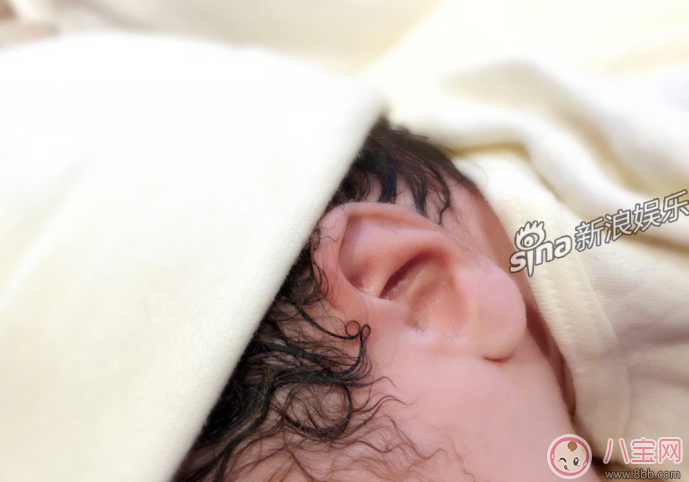 黃英二胎寶寶長什么樣 黃英二胎寶寶照片