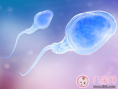 男性提高精子活性注意事項 遠離這些習慣迎來優質寶寶