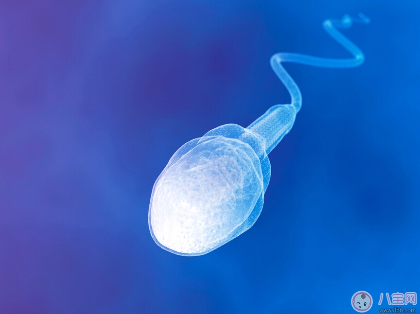 男性提高精子活性注意事項 遠離這些習慣迎來優質寶寶