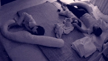 爸爸給兒子蓋被子動圖 爸爸給女兒蓋被子和給兒子蓋被子的區別