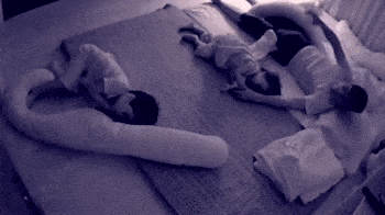 爸爸給兒子蓋被子動圖 爸爸給女兒蓋被子和給兒子蓋被子的區別