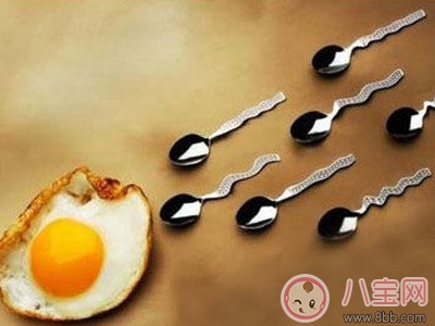 男性如何提高精子質量 備孕期間來不得半點馬虎 男性如何提高精子質量 備孕期間來不得半點馬虎